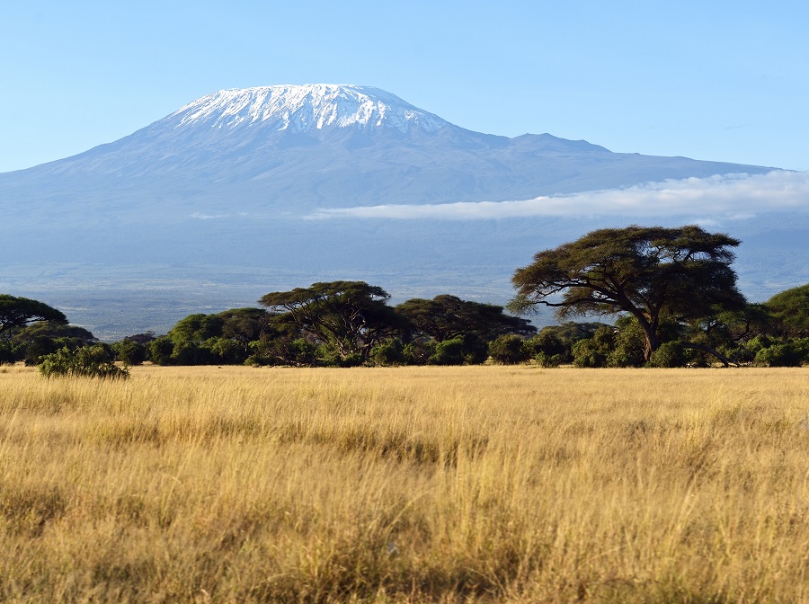 Kilimanjaro - From the National Park