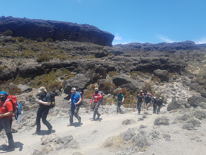 Trekking on Kilimanjaro