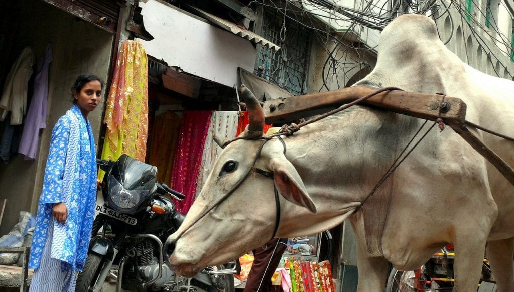 Delhi Streets