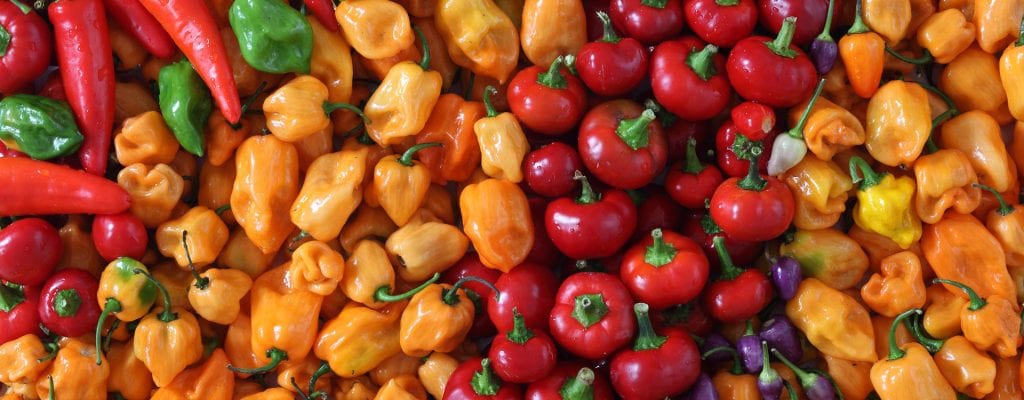 Hiking food