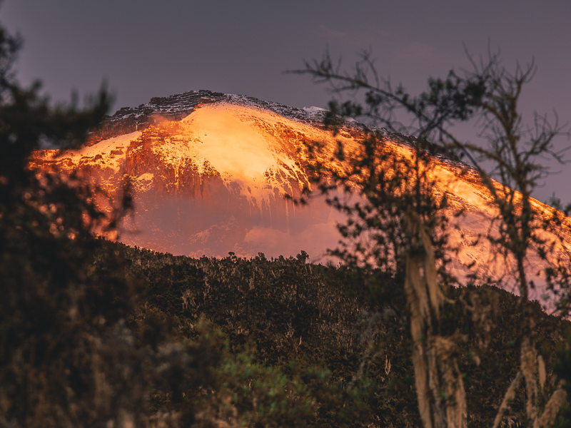 Climbing Kilimanjaro