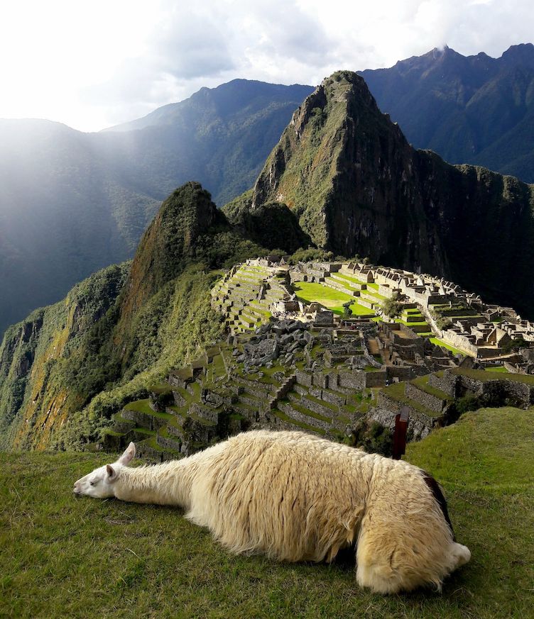 How hard is Machu Picchu trek Earth's Edge