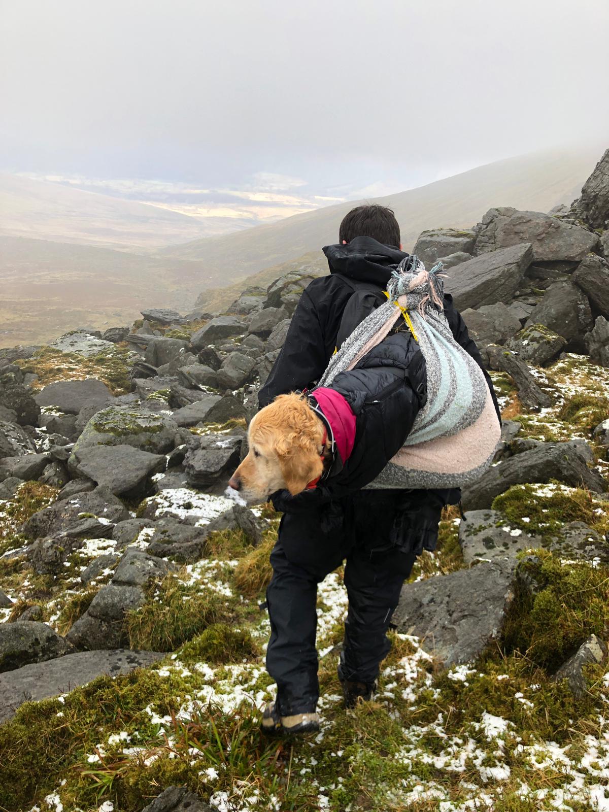 dog rescue on Wicklow mountain