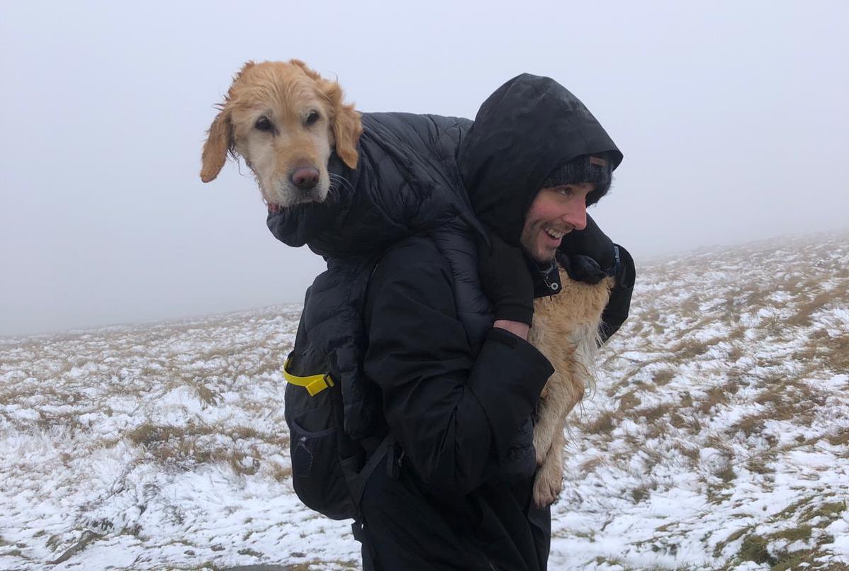 Earth's Edge doctor rescues dog on Wicklow mountains